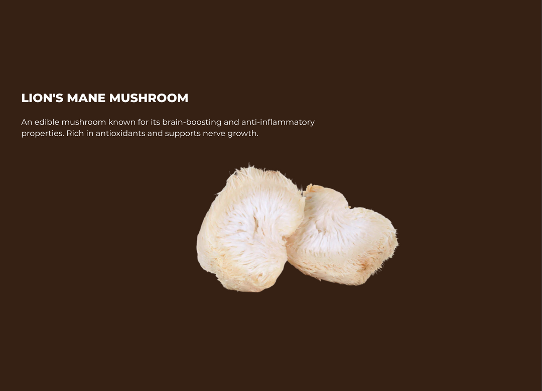 Lion Mane's Coffee by SuperPowders