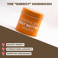 CORDYCEPS POWDER