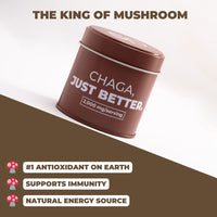 CHAGA POWDER