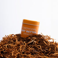 CORDYCEPS POWDER