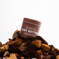 CHAGA POWDER