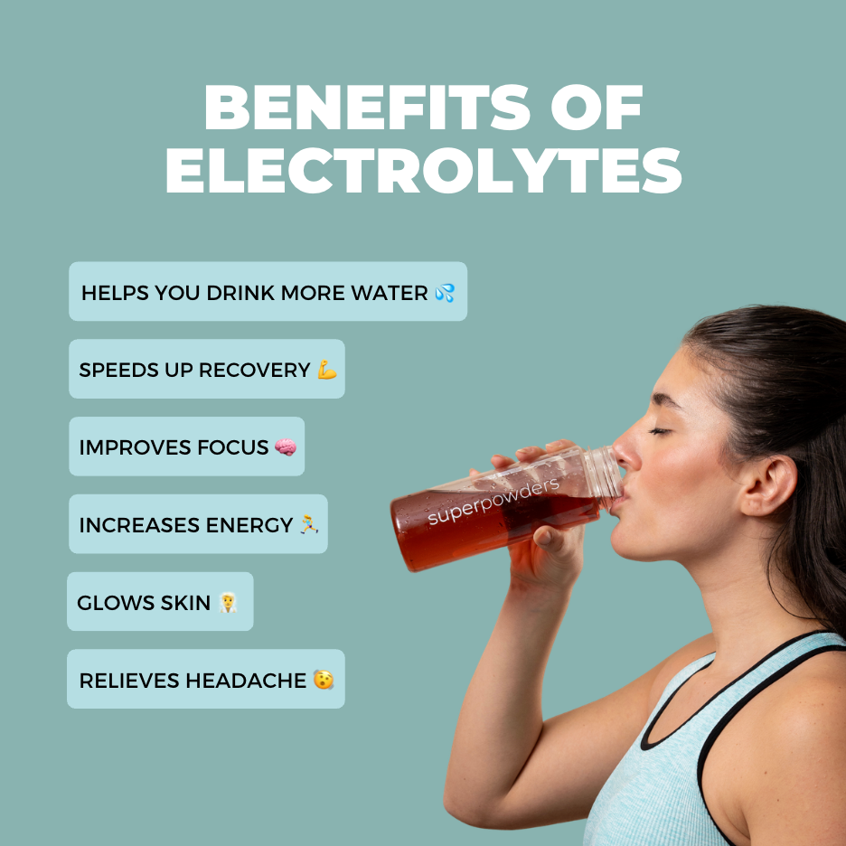 ELDERBERRY ELECTROLYTES